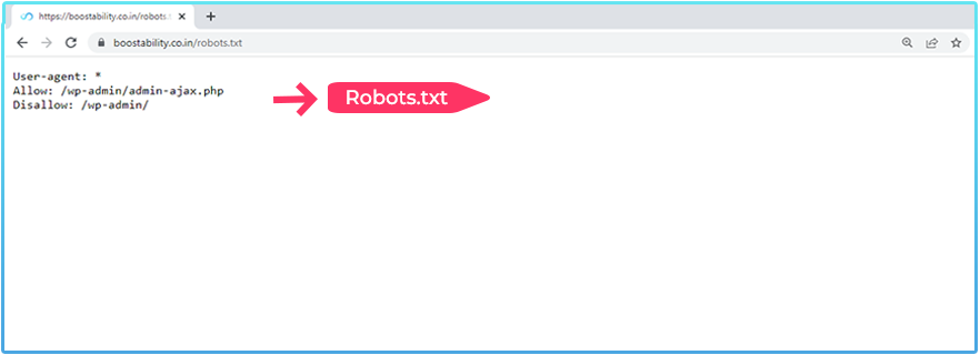 Robot Meta Tags
